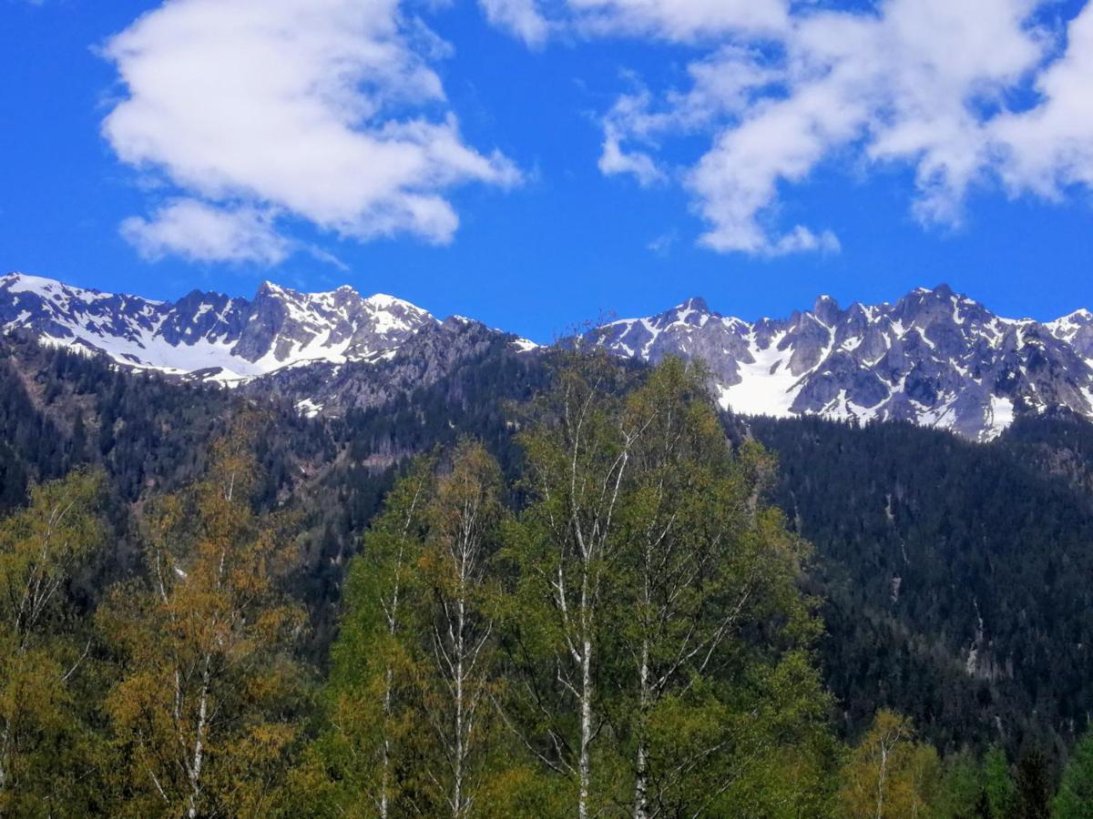 Le Chamoniard Volant Vandrehjem Chamonix Eksteriør billede