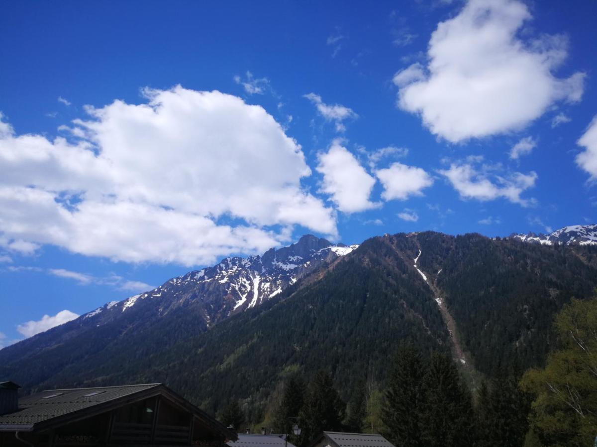 Le Chamoniard Volant Vandrehjem Chamonix Eksteriør billede