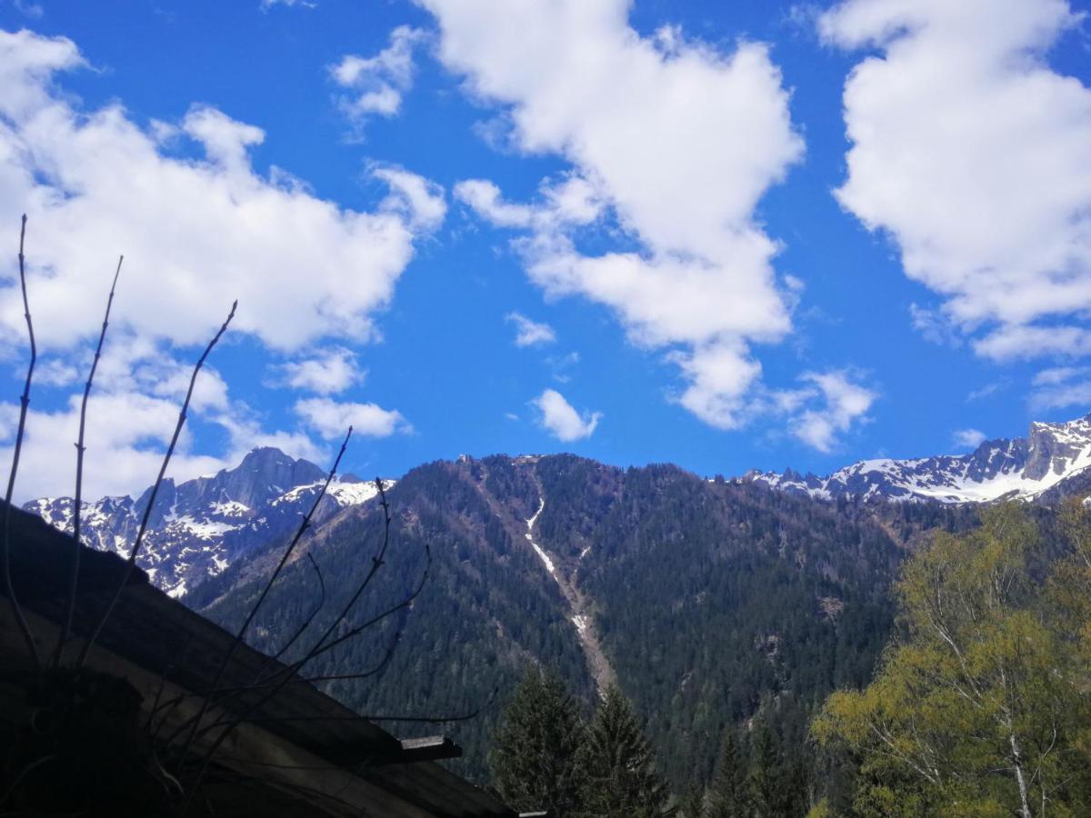 Le Chamoniard Volant Vandrehjem Chamonix Eksteriør billede